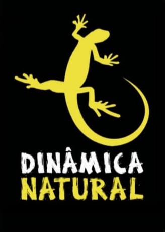 Dinâmica Natural